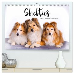 Shelties - Die zuckersüßen Vierbeiner. (hochwertiger Premium Wandkalender 2025 DIN A2 quer), Kunstdruck in Hochglanz