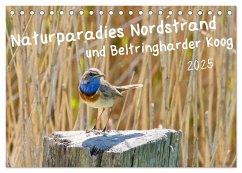 Naturparadies Nordstrand und Beltringharder Koog (Tischkalender 2025 DIN A5 quer), CALVENDO Monatskalender