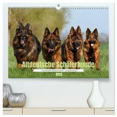 Altdeutsche Schäferhunde - Traumhafte Schäferhunde Langstockhaar (hochwertiger Premium Wandkalender 2025 DIN A2 quer), Kunstdruck in Hochglanz - Calvendo;K. Fotografie, Jana