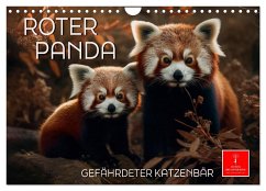 Roter Panda - gefährdeter Katzenbär (Wandkalender 2025 DIN A4 quer), CALVENDO Monatskalender