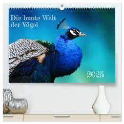 Die bunte Welt der Vögel (hochwertiger Premium Wandkalender 2025 DIN A2 quer), Kunstdruck in Hochglanz