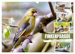 Finkenparade (Wandkalender 2025 DIN A3 quer), CALVENDO Monatskalender - Calvendo;Löwer, Sabine