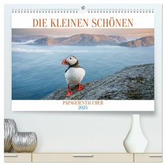 Die kleinen schönen (hochwertiger Premium Wandkalender 2025 DIN A2 quer), Kunstdruck in Hochglanz - Calvendo;Gödecke, Dieter