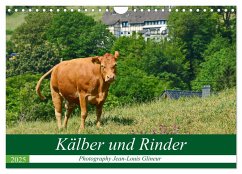 Kälber und Rinder (Wandkalender 2025 DIN A4 quer), CALVENDO Monatskalender