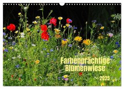 Farbenprächtige Blumenwiese (Wandkalender 2025 DIN A3 quer), CALVENDO Monatskalender
