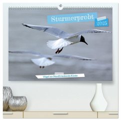 Sturmerprobt - Vögel an Nordfrieslands Küste (hochwertiger Premium Wandkalender 2025 DIN A2 quer), Kunstdruck in Hochglanz