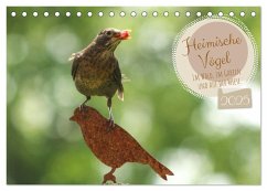 Heimische Vögel - Im Wald, im Garten und auf der Wiese (Tischkalender 2025 DIN A5 quer), CALVENDO Monatskalender