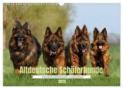 Altdeutsche Schäferhunde - Traumhafte Schäferhunde Langstockhaar (Wandkalender 2025 DIN A3 quer), CALVENDO Monatskalender