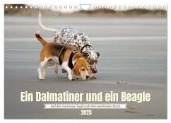 Ein Dalmatiner und ein Beagle - Auf der maritimen Jagd nach dem weltbesten Stock (Wandkalender 2025 DIN A4 quer), CALVENDO Monatskalender