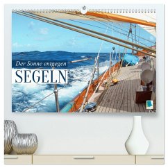 Segeln: Der Sonne entgegen (hochwertiger Premium Wandkalender 2025 DIN A2 quer), Kunstdruck in Hochglanz