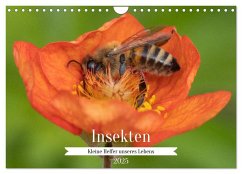 Insekten - Kleine Helfer unseres Lebens (Wandkalender 2025 DIN A4 quer), CALVENDO Monatskalender