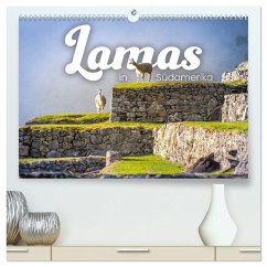 Lamas in Südamerika (hochwertiger Premium Wandkalender 2025 DIN A2 quer), Kunstdruck in Hochglanz