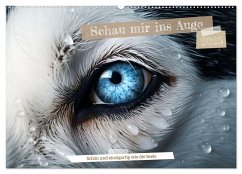 Schau mir ins Auge (Wandkalender 2025 DIN A2 quer), CALVENDO Monatskalender - Calvendo;Tapper, Daniela