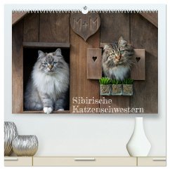 Maui und Molokai - Sibirische Katzenschwestern (hochwertiger Premium Wandkalender 2025 DIN A2 quer), Kunstdruck in Hochglanz - Calvendo;Danis, Peter
