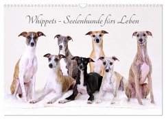 Whippets - Seelenhunde fürs Leben (Wandkalender 2025 DIN A3 quer), CALVENDO Monatskalender
