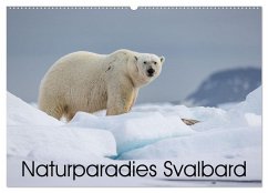 Naturparadies Svalbard (Wandkalender 2025 DIN A2 quer), CALVENDO Monatskalender - Calvendo;Oberholzer - www.davidoberholzer.ch, David