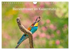 Bienenfresser im Kaiserstuhl (Wandkalender 2025 DIN A4 quer), CALVENDO Monatskalender