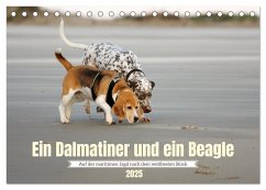 Ein Dalmatiner und ein Beagle - Auf der maritimen Jagd nach dem weltbesten Stock (Tischkalender 2025 DIN A5 quer), CALVENDO Monatskalender