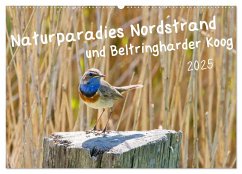 Naturparadies Nordstrand und Beltringharder Koog (Wandkalender 2025 DIN A2 quer), CALVENDO Monatskalender - Calvendo;Voss, Kathrin