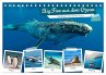 Big Five aus dem Ozean Hai, Delphin,... - Bild 1