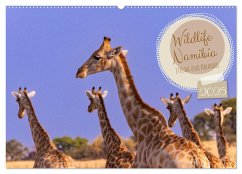 Wildlife Namibia - Etosha und Kalahari (Wandkalender 2025 DIN A2 quer), CALVENDO Monatskalender