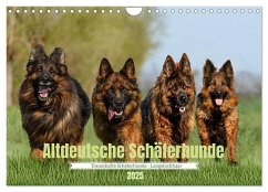 Altdeutsche Schäferhunde - Traumhafte Schäferhunde Langstockhaar (Wandkalender 2025 DIN A4 quer), CALVENDO Monatskalender - Calvendo;K. Fotografie, Jana