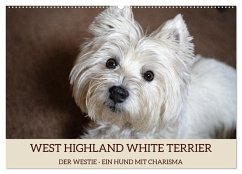 WEST HIGHLAND WHITE TERRIER - DER WESTIE - EIN HUND MIT CHARISMA (Wandkalender 2025 DIN A2 quer), CALVENDO Monatskalender