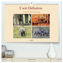 E wie Elefanten - verspielt und schnüssig (hochwertiger Premium Wandkalender 2025 DIN A2 quer), Kunstdruck in Hochglanz