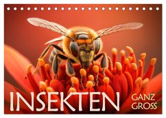 Insekten ganz gross (Tischkalender 2025 DIN A5 quer), CALVENDO Monatskalender