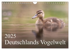 Deutschlands Vogelwelt (Wandkalender 2025 DIN A4 quer), CALVENDO Monatskalender