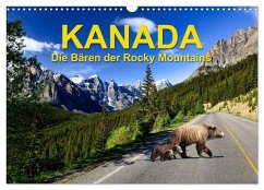 KANADA - Die Bären der Rocky Mountains (Wandkalender 2025 DIN A3 quer), CALVENDO Monatskalender - Calvendo;Pfaff, Hans-Gerhard