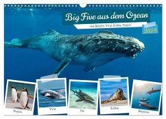 Big Five aus dem Ozean Hai, Delphin, Wal, Robbe, Pinguin (Wandkalender 2025 DIN A3 quer), CALVENDO Monatskalender