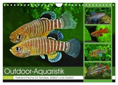 Outdoor-Aquaristik (Wandkalender 2025 DIN A4 quer), CALVENDO Monatskalender - Calvendo;Pohlmann, Rudolf