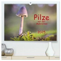 Pilze vor der Makrolinse 2025 (hochwertiger Premium Wandkalender 2025 DIN A2 quer), Kunstdruck in Hochglanz