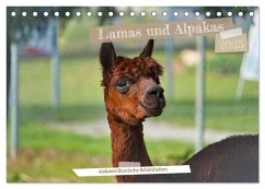 Lamas und Alpakas - südamerikanische Schönheiten (Tischkalender 2025 DIN A5 quer), CALVENDO Monatskalender