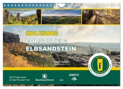 Erlebnis Forststeig Elbsandstein (Wandkalender 2025 DIN A4 quer), CALVENDO Monatskalender - Calvendo;Walther, Kevin