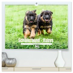 Langstockhaar - Schäferhund - Babys (hochwertiger Premium Wandkalender 2025 DIN A2 quer), Kunstdruck in Hochglanz