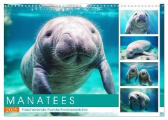 Manatees. Faszinierende Rundschwanzseekühe (Wandkalender 2025 DIN A3 quer), CALVENDO Monatskalender - Calvendo;Hurley, Rose