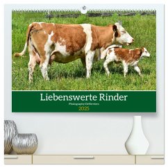Liebenswerte Rinder (hochwertiger Premium Wandkalender 2025 DIN A2 quer), Kunstdruck in Hochglanz