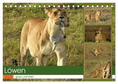 Löwen - gross und klein (Tischkalender 2025 DIN A5 quer), CALVENDO Monatskalender