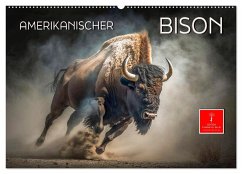 Amerikanischer Bison (Wandkalender 2025 DIN A2 quer), CALVENDO Monatskalender