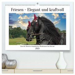 Friesen - elegant und kraftvoll (hochwertiger Premium Wandkalender 2025 DIN A2 quer), Kunstdruck in Hochglanz