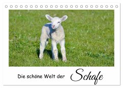 Die schöne Welt der Schafe (Tischkalender 2025 DIN A5 quer), CALVENDO Monatskalender
