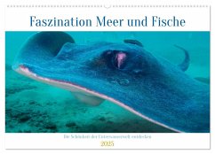 Faszination Meer und Fische (Wandkalender 2025 DIN A2 quer), CALVENDO Monatskalender