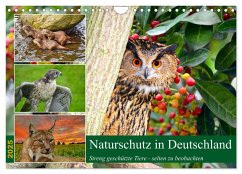 Naturschutz in Deutschland (Wandkalender 2025 DIN A4 quer), CALVENDO Monatskalender