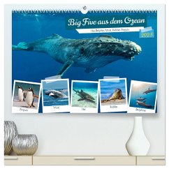 Big Five aus dem Ozean Hai, Delphin, Wal, Robbe, Pinguin (hochwertiger Premium Wandkalender 2025 DIN A2 quer), Kunstdruck in Hochglanz