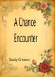 A Chance Encounter (eBook, ePUB) - Bild 1