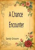 A Chance Encounter (eBook, ePUB) A Chance Encounter (eBook, ePUB)