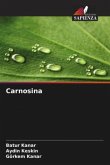 Carnosina