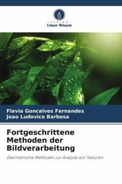 Fortgeschrittene Methoden der Bildverarbeitung - Fernandes, Flávia Gonçalves;Barbosa, João Ludovico